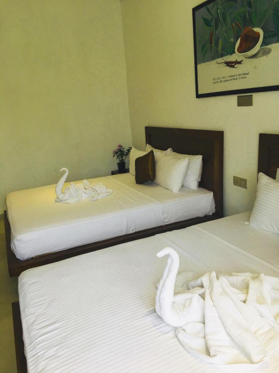 Spice Ella Hotel Ngoại thất bức ảnh